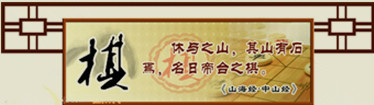 中央民族大学计算机博弈网